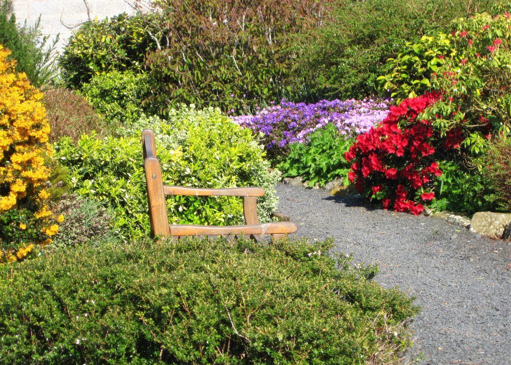The beautiful garden at Burnbrae.