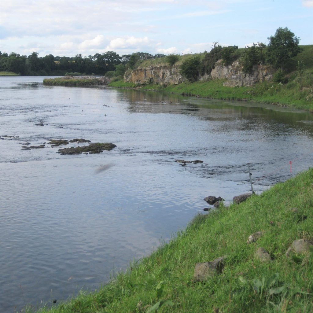A riverside walk near Kelso.